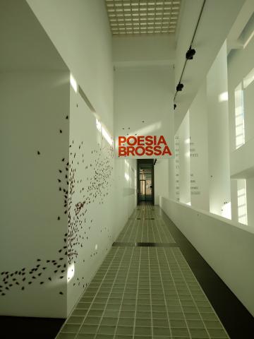 Vista de la exposición