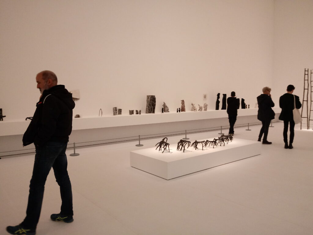 Vista de la exposición