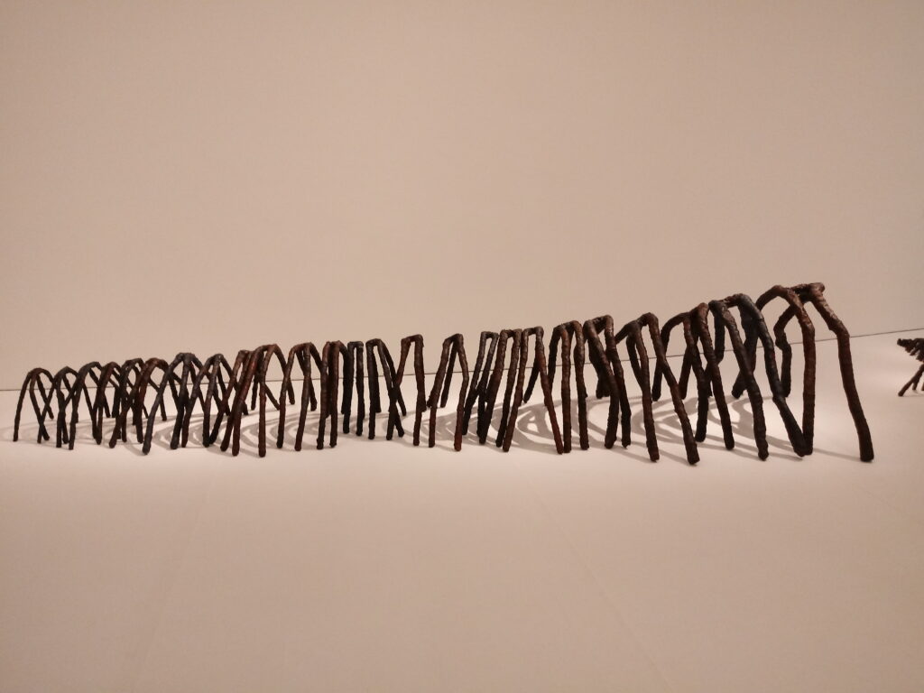 Vista de la exposición