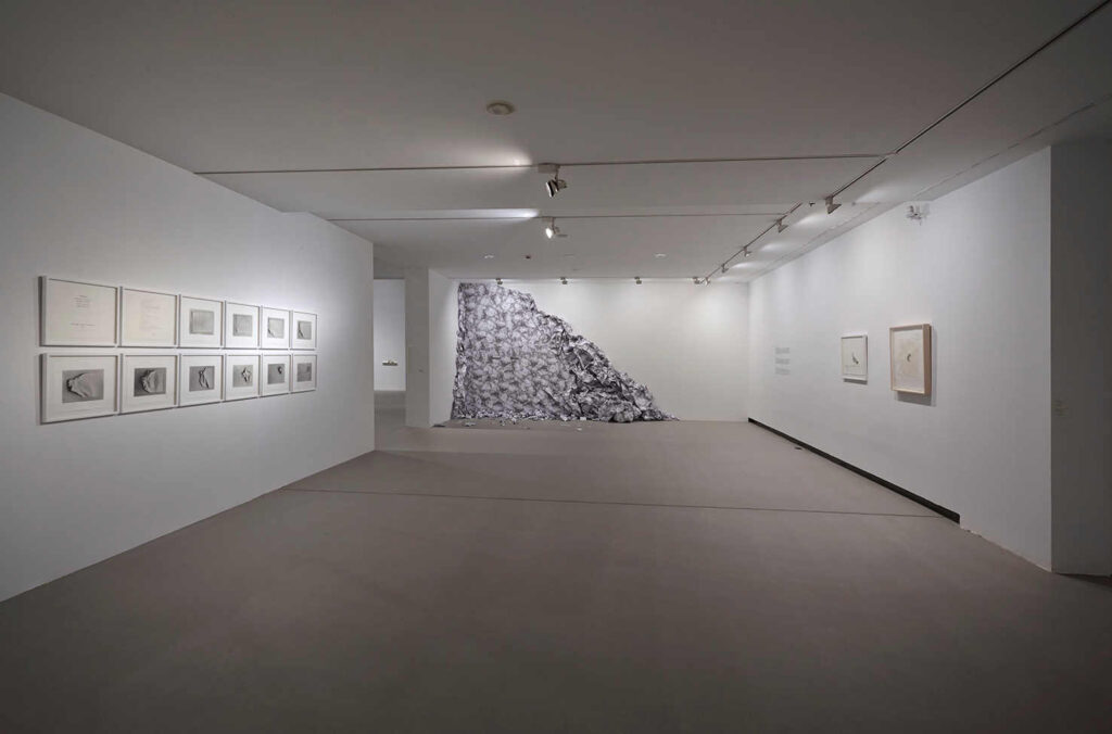 Vistas de la exposición