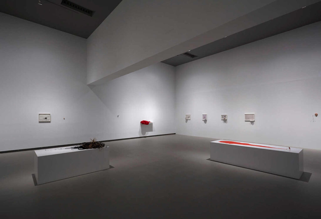 Vistas de la exposición