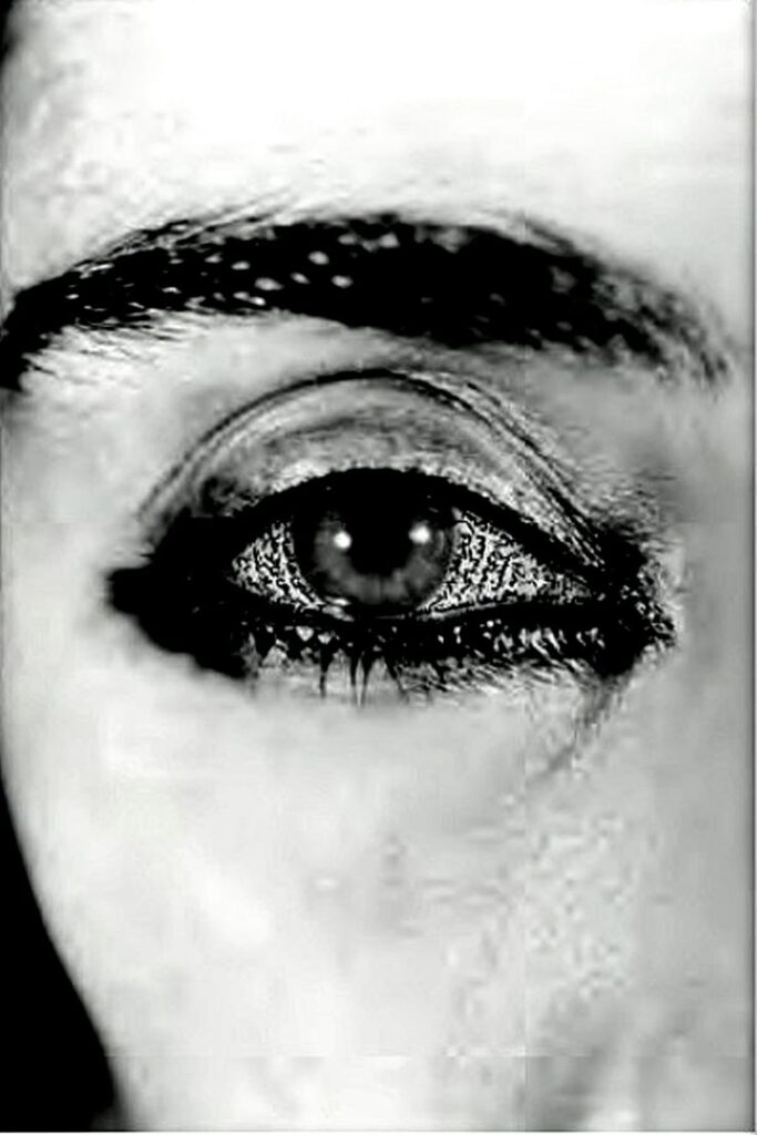 Offered Eyes from Unveiling, 1993