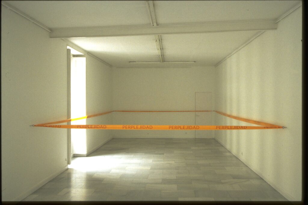 Perplejidad, 1996